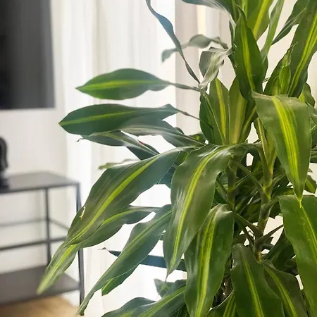 Luxury Retreat- 2-bedroom, 2-bath Apartment *