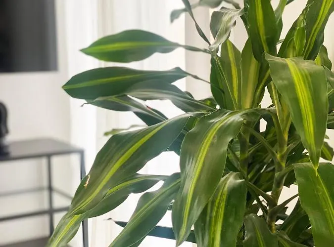 Luxury Retreat- 2-bedroom, 2-bath Apartmán *